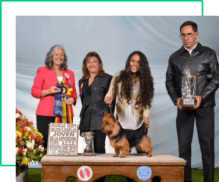 australian terrier historia-3