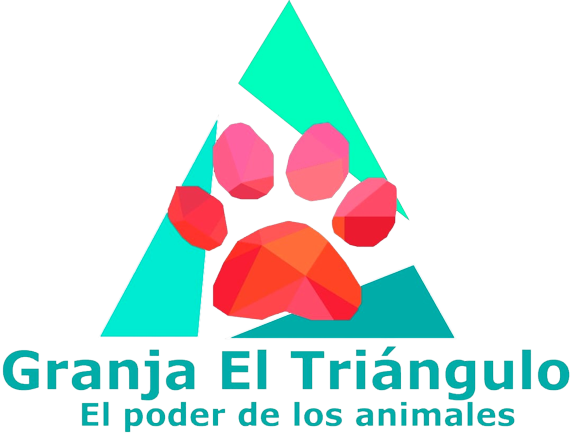 EL TRIANGULO